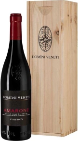 Вино Amarone della Valpolicella Classico, Domini Veneti, DOC, 2019, 0.75 л (п/у)