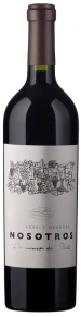 Вино Nosotros, Dominio del Plata, 2008, 0.75 л (п/у)