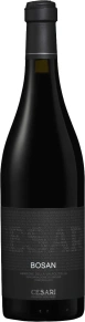 Вино Bosan Amarone della Valpolicella, Gerardo Cesari, DOC, 2005, 0.75 л