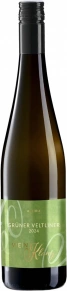 Вино Gruner Veltliner, Wein Klang, 2024, 0.75 л