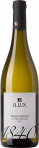 Вино 1840 Pinot Grigio, H. Lun, DOC, 0.75 л