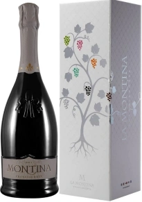 Игристое вино Franciacorta Brut, Montina, DOCG, 2023, 0.75 л (п/у)