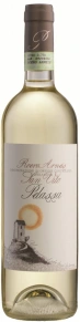 Вино Roero Arneis San Vito, Pelassa, DOCG, 0.75 л