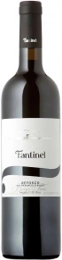 Вино Refosco dal Peduncolo Rosso, Borgo Tesis, DOC, 2019, 0.75 л