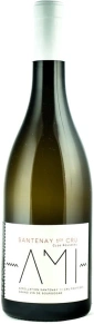 Вино Santenay 1er Cru Clos Rousseau, Domaine Ami, AOP, 2019, 0.75 л