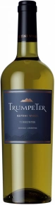 Вино Torrontes, Rutini, 2024, 0.75 л