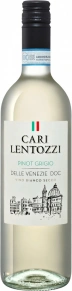 Вино Pinot Grigio delle Venezie, Cari Lentozzi, DOC, 2024, 0.75 л