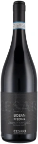 Вино Bosan Amarone della Valpolicella Classico Riserva, Gerardo Cesari, DOC, 2008, 0.75 л