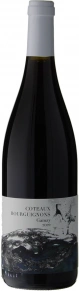 Вино Coteaux Bourguignons Gamay, Domaine Didon, AOC, 2022, 0.75 л