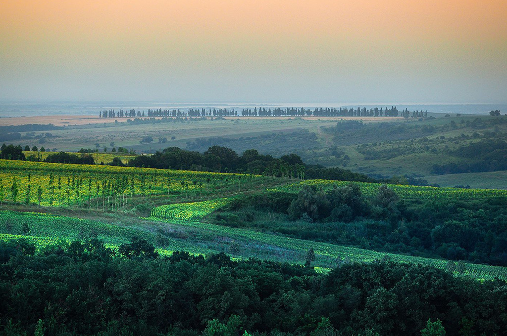 Вина Лефкадии